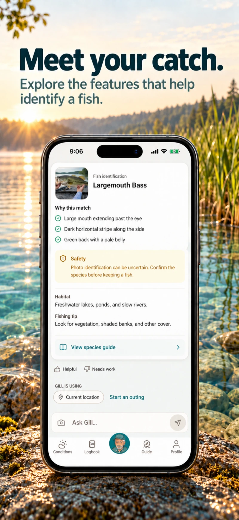 Ask Gill identifying a largemouth bass from a submitted catch photo, with matching features and a safety reminder