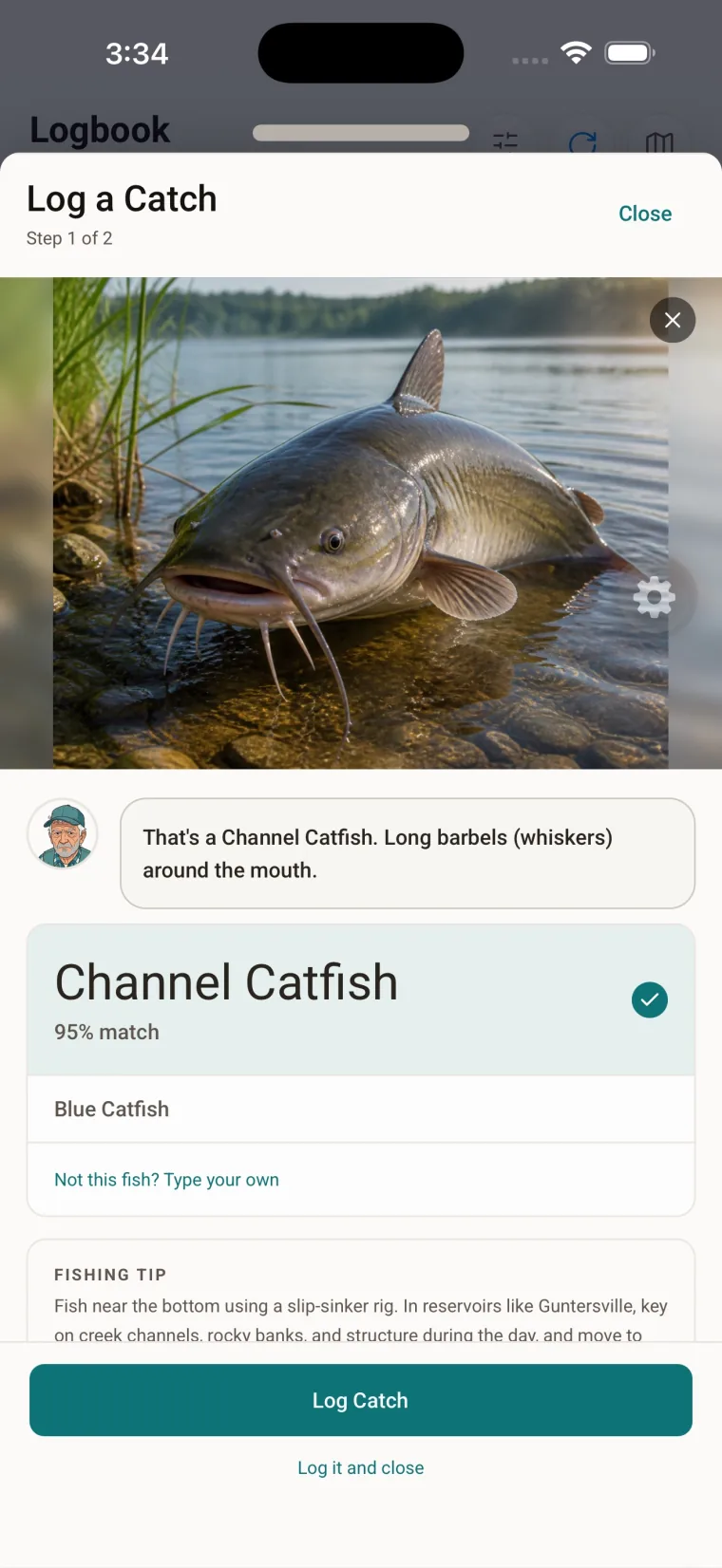 Ask Gill identifying a channel catfish from a photo